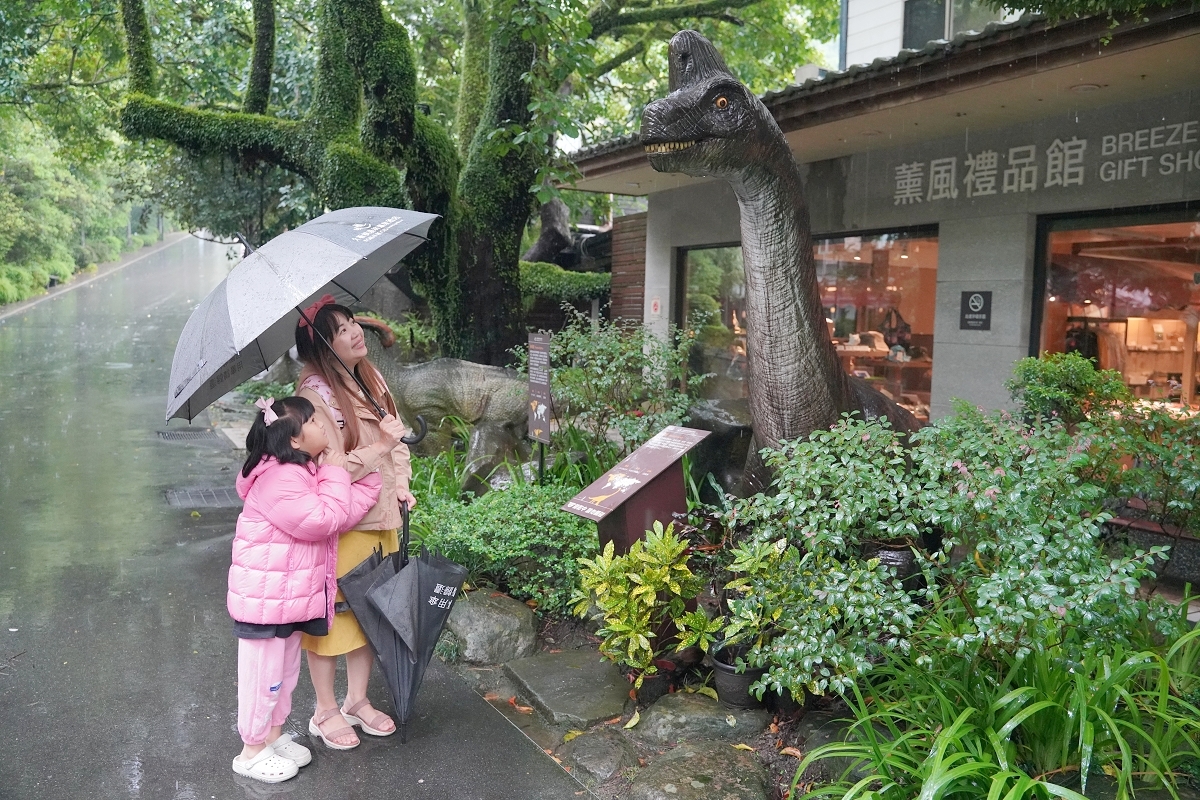 【大板根森林溫泉酒店】恐龍親子主題客房 免費露天溫泉/兒童遊戲室 三峽親子住宿首選 - 第32張圖