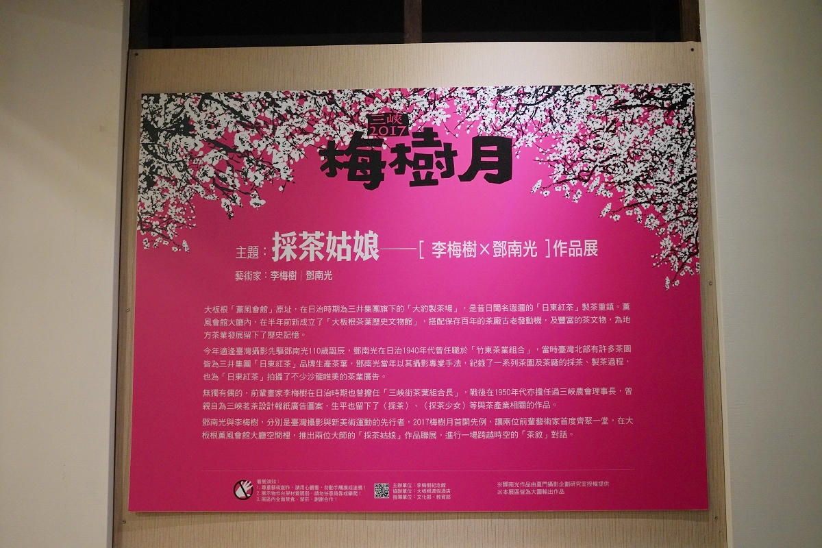 【大板根森林溫泉酒店】恐龍親子主題客房 免費露天溫泉/兒童遊戲室 三峽親子住宿首選 - 第35張圖