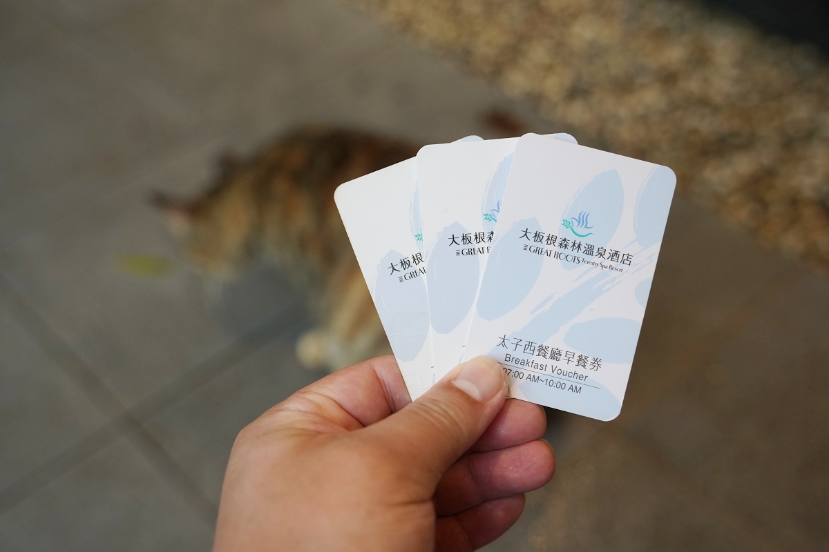 【大板根森林溫泉酒店】恐龍親子主題客房 免費露天溫泉/兒童遊戲室 三峽親子住宿首選 - 第75張圖