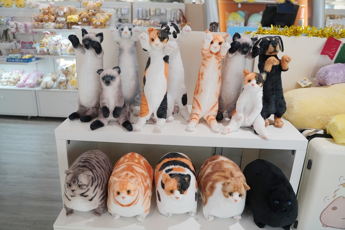 【大江國際購物中心】全台最美室內聖誕車站開箱 全國獨家全年免費停車 桃園最推薦的購物中心 - 第81張圖