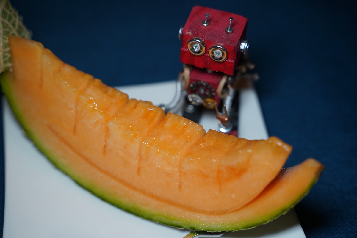 【占冠湯の沢溫泉森の四季】北海道富良野溫泉旅館推薦 一泊二食占冠村冷礦泉 特色鹿肉料理必嚐 - 第34張圖