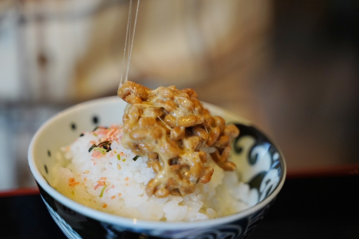 【占冠湯の沢溫泉森の四季】北海道富良野溫泉旅館推薦 一泊二食占冠村冷礦泉 特色鹿肉料理必嚐 - 第51張圖