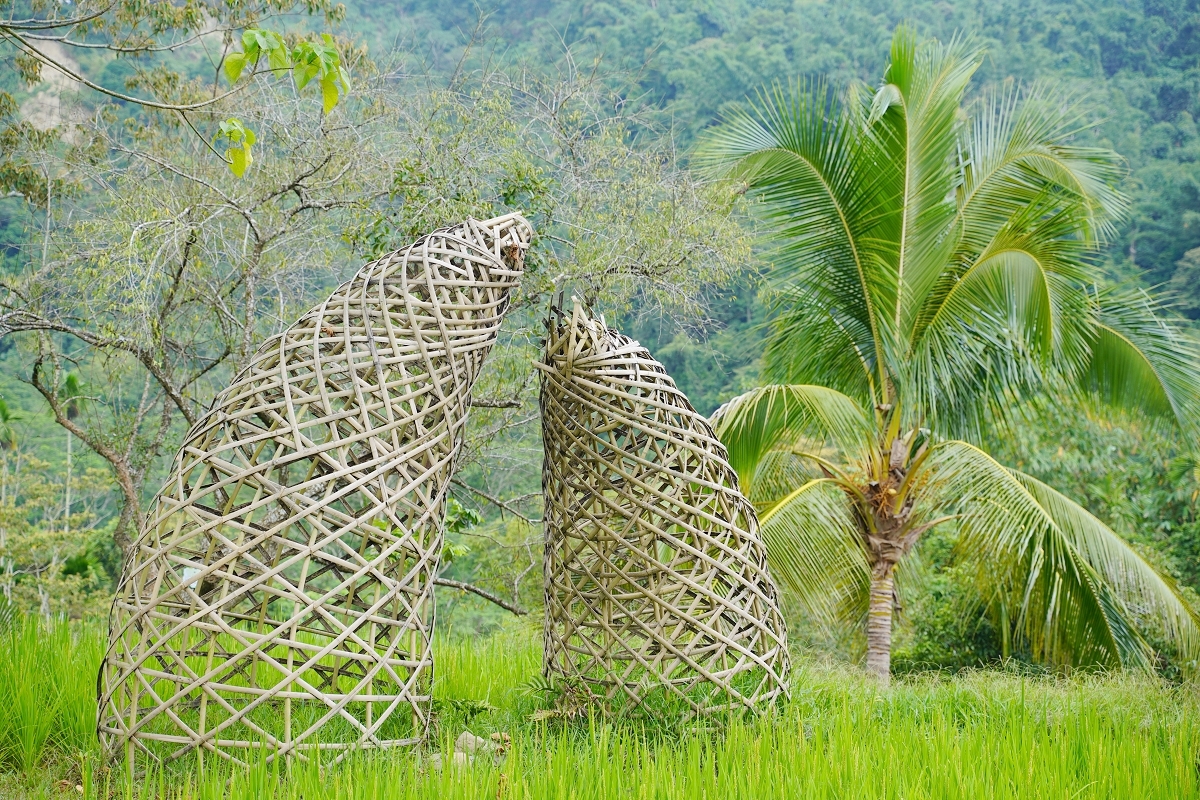 【鹿谷鄉秀峰村坪仔頂水梯田】國際竹藝風華秀峰社區 共融環境教育解說場域 2025建築園冶獎 - 第4張圖