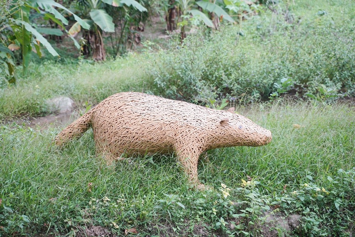 【鹿谷鄉秀峰村坪仔頂水梯田】國際竹藝風華秀峰社區 共融環境教育解說場域 2025建築園冶獎 - 第6張圖