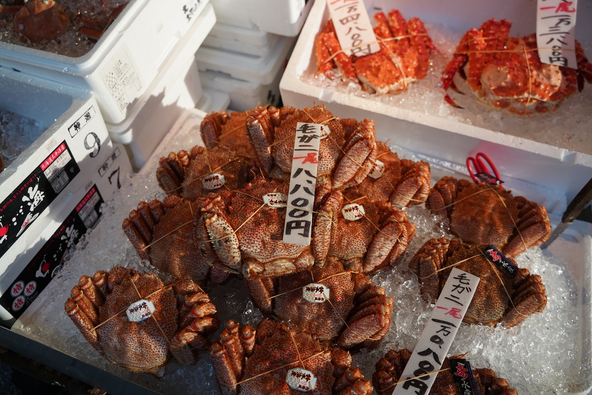 【札幌二条市場】北海道札幌必訪景點 鄰近狸小路商店街一丁目 札幌市民廚房就在札幌二條市場