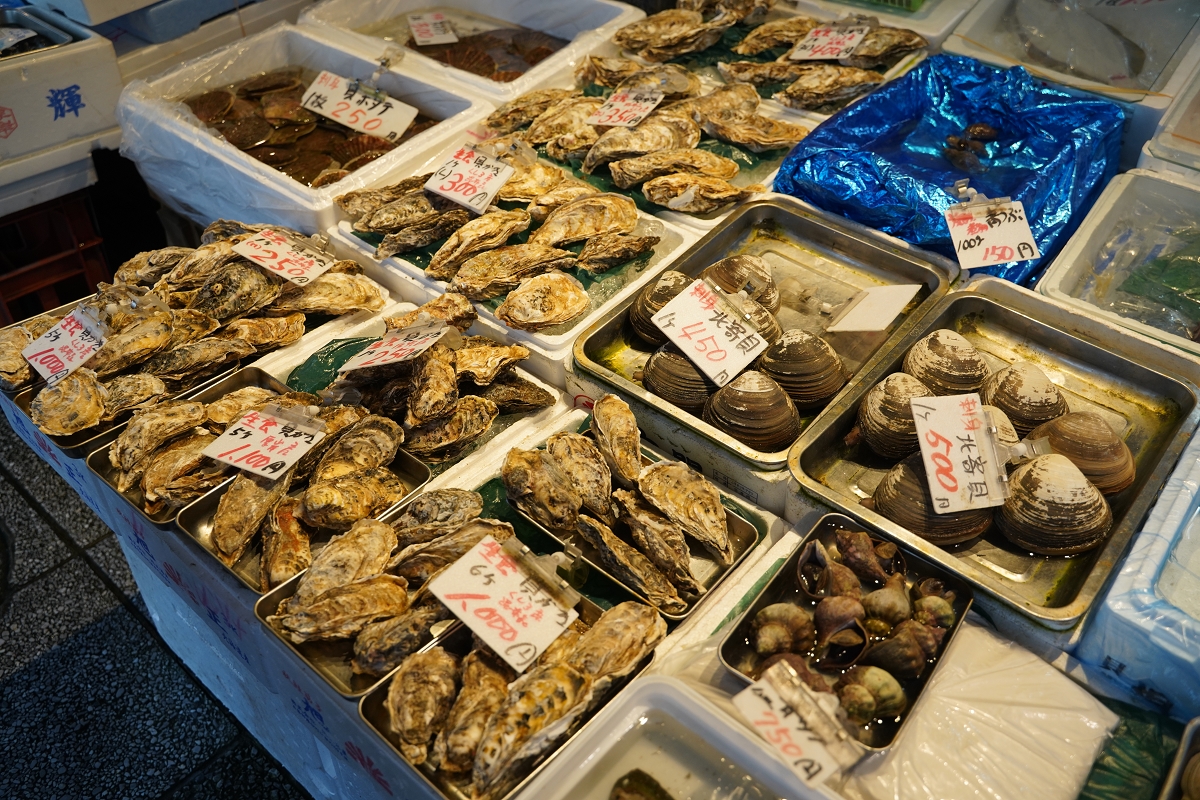 【札幌二条市場】北海道札幌必訪景點 鄰近狸小路商店街一丁目 札幌市民廚房就在札幌二條市場