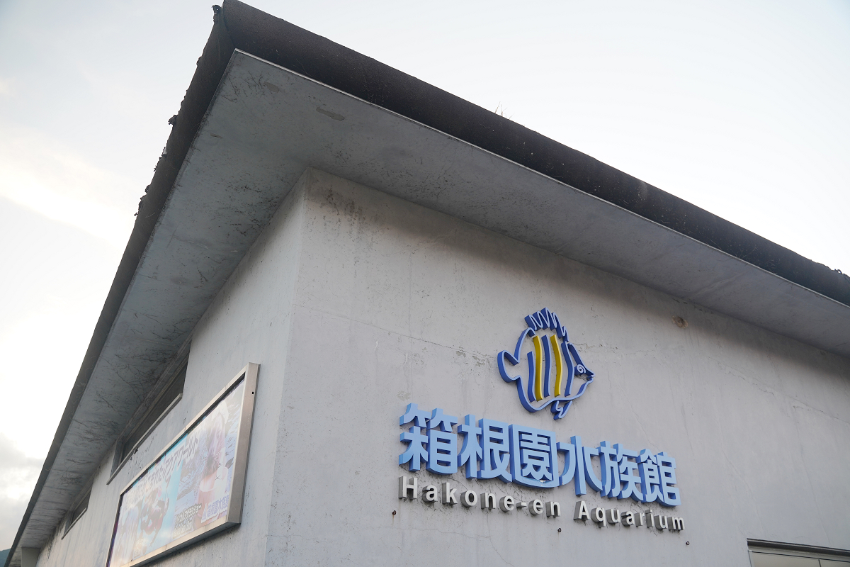 【箱根園水族館】箱根室內景點推薦 日本海拔最高水族館 亞洲小爪水獺握手/貝加爾海豹/可愛企鵝 - 第2張圖 【箱根園水族館】箱根室內景點推薦 日本海拔最高水族館 亞洲小爪水獺握手/貝加爾海豹/可愛企鵝