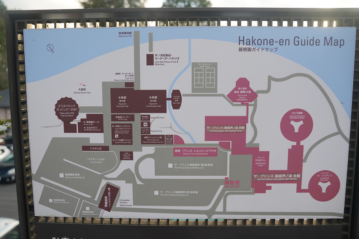 【箱根園水族館】箱根室內景點推薦 日本海拔最高水族館 亞洲小爪水獺握手/貝加爾海豹/可愛企鵝 - 第3張圖 【箱根園水族館】箱根室內景點推薦 日本海拔最高水族館 亞洲小爪水獺握手/貝加爾海豹/可愛企鵝