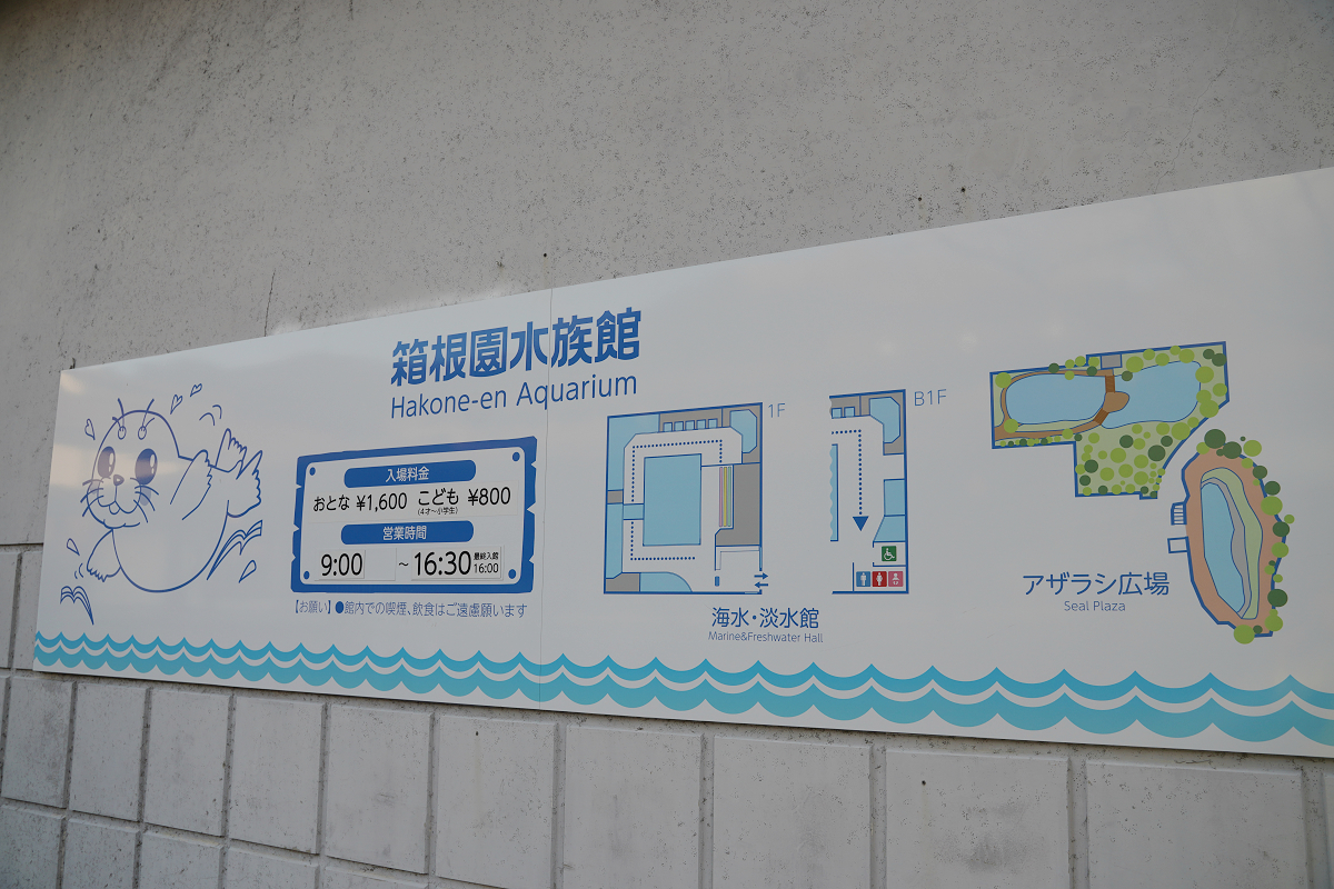 【箱根園水族館】箱根室內景點推薦 日本海拔最高水族館 亞洲小爪水獺握手/貝加爾海豹/可愛企鵝 - 第4張圖 【箱根園水族館】箱根室內景點推薦 日本海拔最高水族館 亞洲小爪水獺握手/貝加爾海豹/可愛企鵝