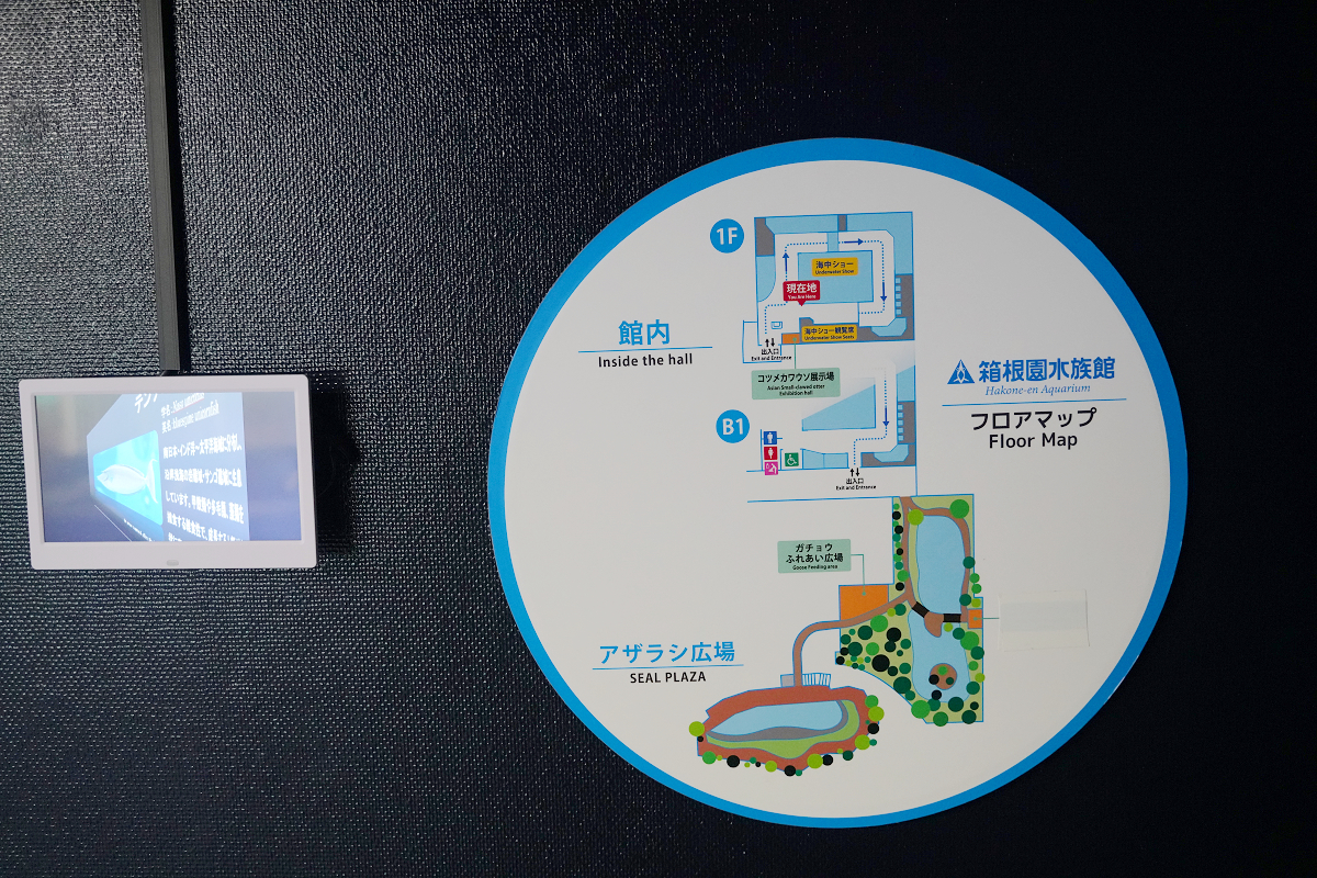 【箱根園水族館】箱根室內景點推薦 日本海拔最高水族館 亞洲小爪水獺握手/貝加爾海豹/可愛企鵝 - 第5張圖 【箱根園水族館】箱根室內景點推薦 日本海拔最高水族館 亞洲小爪水獺握手/貝加爾海豹/可愛企鵝