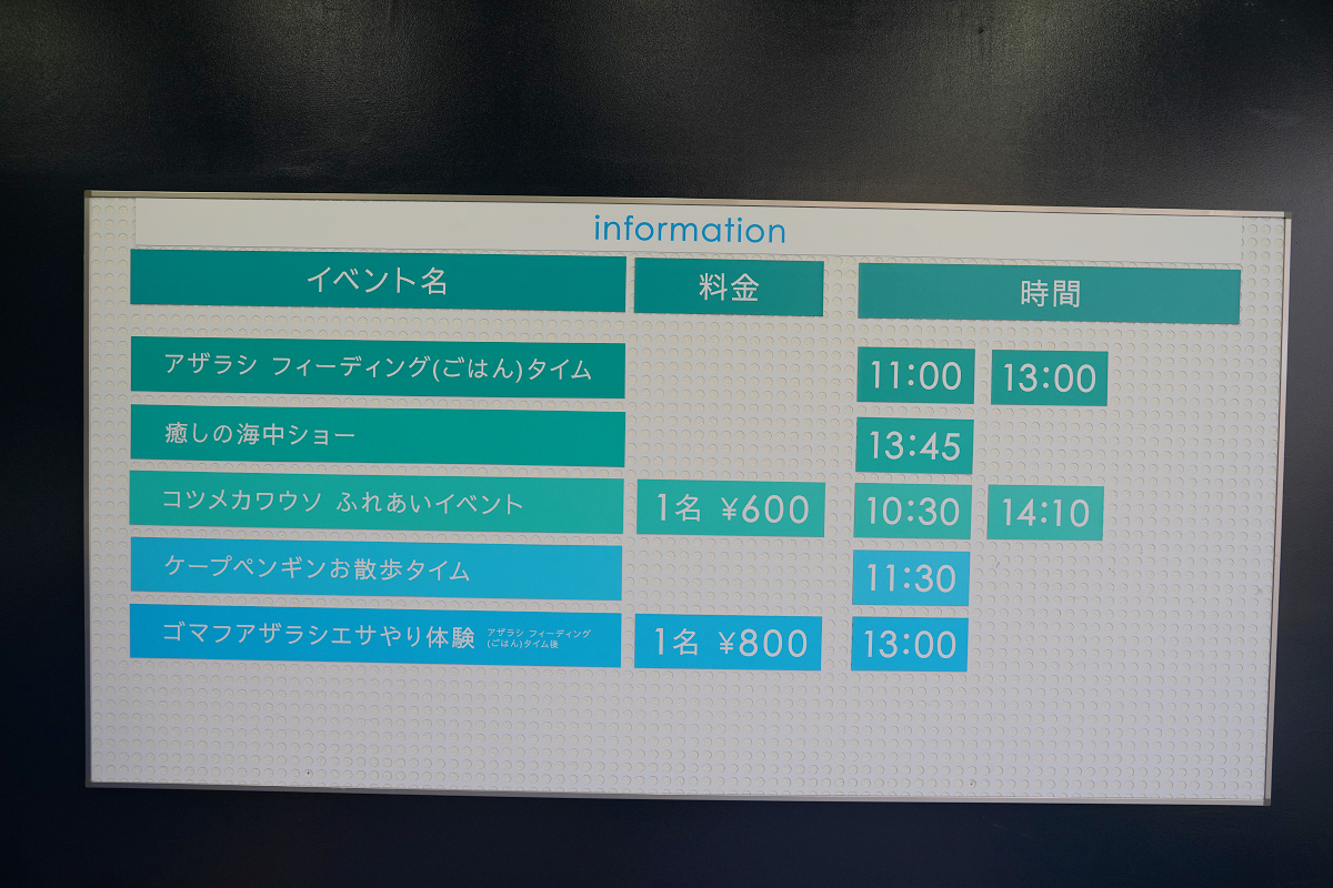 【箱根園水族館】箱根室內景點推薦 日本海拔最高水族館 亞洲小爪水獺握手/貝加爾海豹/可愛企鵝 - 第6張圖 【箱根園水族館】箱根室內景點推薦 日本海拔最高水族館 亞洲小爪水獺握手/貝加爾海豹/可愛企鵝