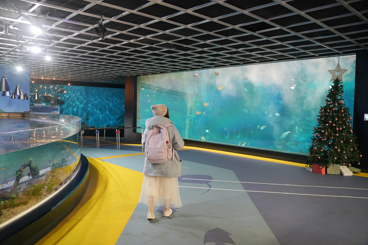 【箱根園水族館】箱根室內景點推薦 日本海拔最高水族館 亞洲小爪水獺握手/貝加爾海豹/可愛企鵝 - 第7張圖 【箱根園水族館】箱根室內景點推薦 日本海拔最高水族館 亞洲小爪水獺握手/貝加爾海豹/可愛企鵝
