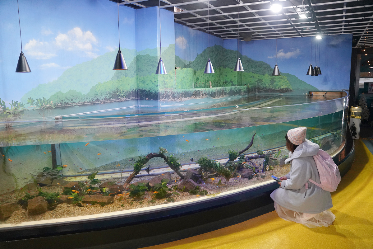 【箱根園水族館】箱根室內景點推薦 日本海拔最高水族館 亞洲小爪水獺握手/貝加爾海豹/可愛企鵝 - 第8張圖 【箱根園水族館】箱根室內景點推薦 日本海拔最高水族館 亞洲小爪水獺握手/貝加爾海豹/可愛企鵝