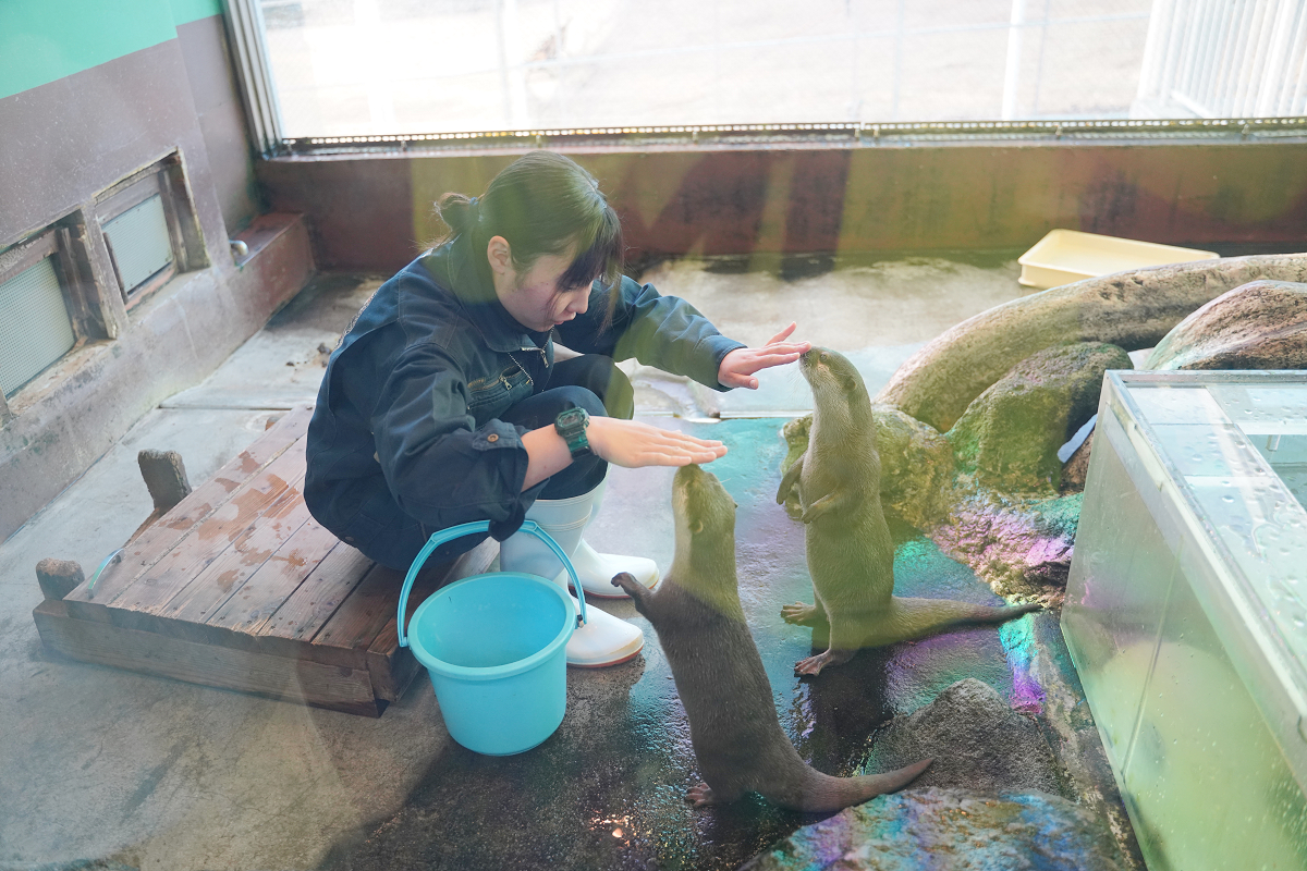 【箱根園水族館】箱根室內景點推薦 日本海拔最高水族館 亞洲小爪水獺握手/貝加爾海豹/可愛企鵝 - 第9張圖 【箱根園水族館】箱根室內景點推薦 日本海拔最高水族館 亞洲小爪水獺握手/貝加爾海豹/可愛企鵝