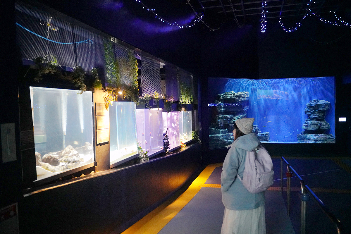 【箱根園水族館】箱根室內景點推薦 日本海拔最高水族館 亞洲小爪水獺握手/貝加爾海豹/可愛企鵝 - 第15張圖 【箱根園水族館】箱根室內景點推薦 日本海拔最高水族館 亞洲小爪水獺握手/貝加爾海豹/可愛企鵝