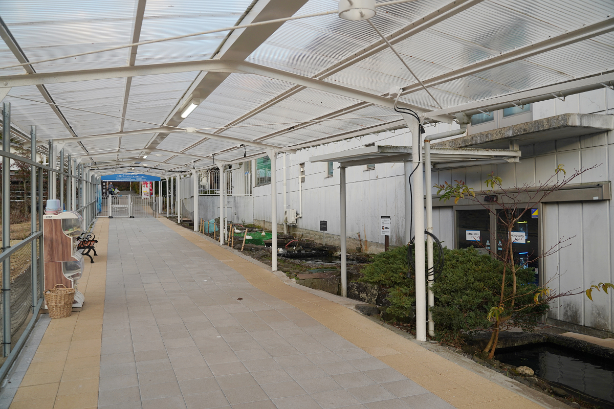 【箱根園水族館】箱根室內景點推薦 日本海拔最高水族館 亞洲小爪水獺握手/貝加爾海豹/可愛企鵝 - 第18張圖 【箱根園水族館】箱根室內景點推薦 日本海拔最高水族館 亞洲小爪水獺握手/貝加爾海豹/可愛企鵝