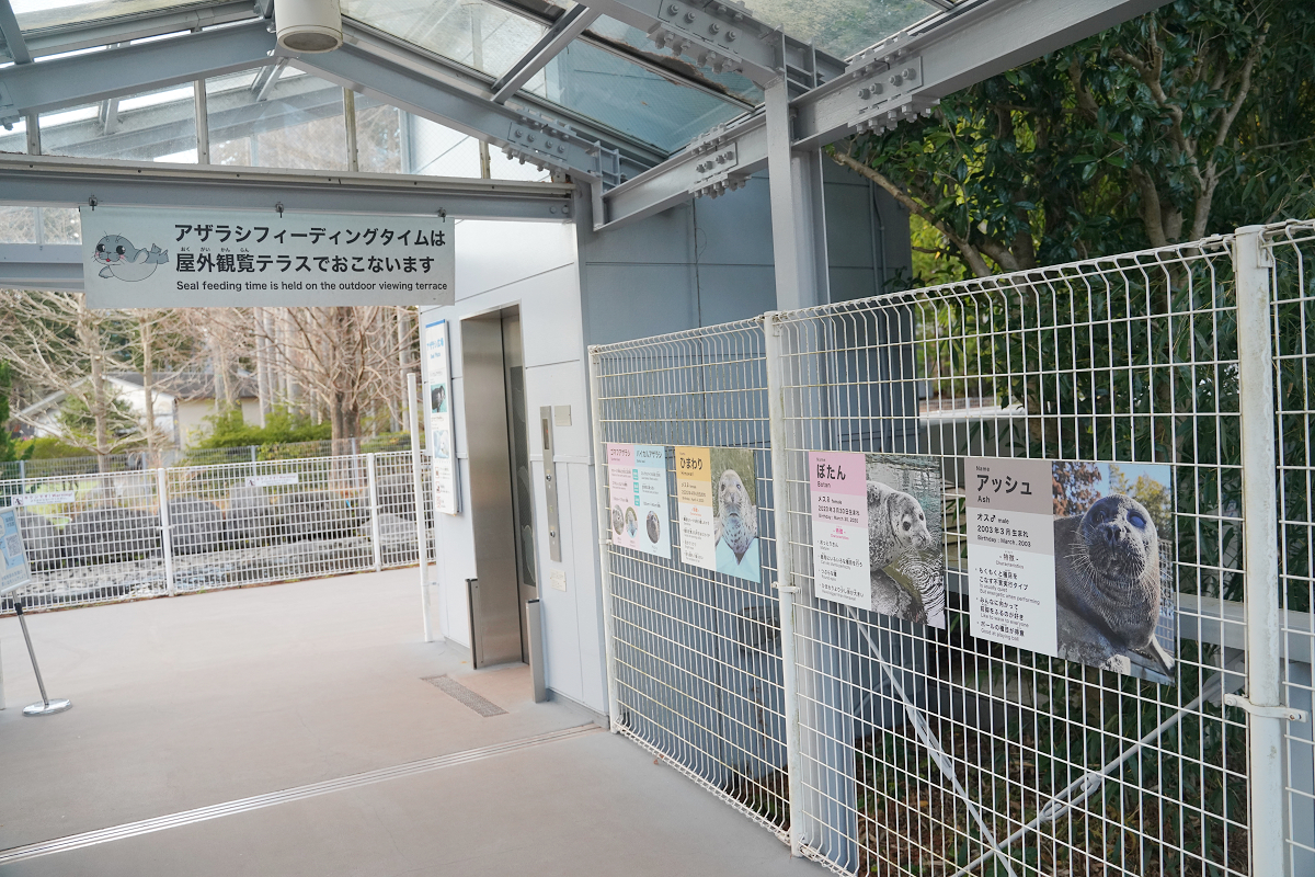 【箱根園水族館】箱根室內景點推薦 日本海拔最高水族館 亞洲小爪水獺握手/貝加爾海豹/可愛企鵝 - 第20張圖 【箱根園水族館】箱根室內景點推薦 日本海拔最高水族館 亞洲小爪水獺握手/貝加爾海豹/可愛企鵝