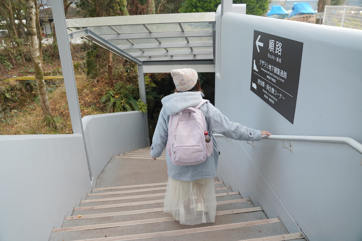 【箱根園水族館】箱根室內景點推薦 日本海拔最高水族館 亞洲小爪水獺握手/貝加爾海豹/可愛企鵝 - 第21張圖 【箱根園水族館】箱根室內景點推薦 日本海拔最高水族館 亞洲小爪水獺握手/貝加爾海豹/可愛企鵝