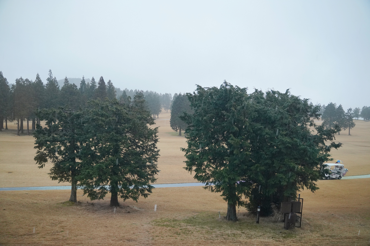 【箱根湯之花王子大飯店】箱根最高點天空溫泉宿 箱根罕見乳白色泉水 免費下午茶點/精緻日式早餐