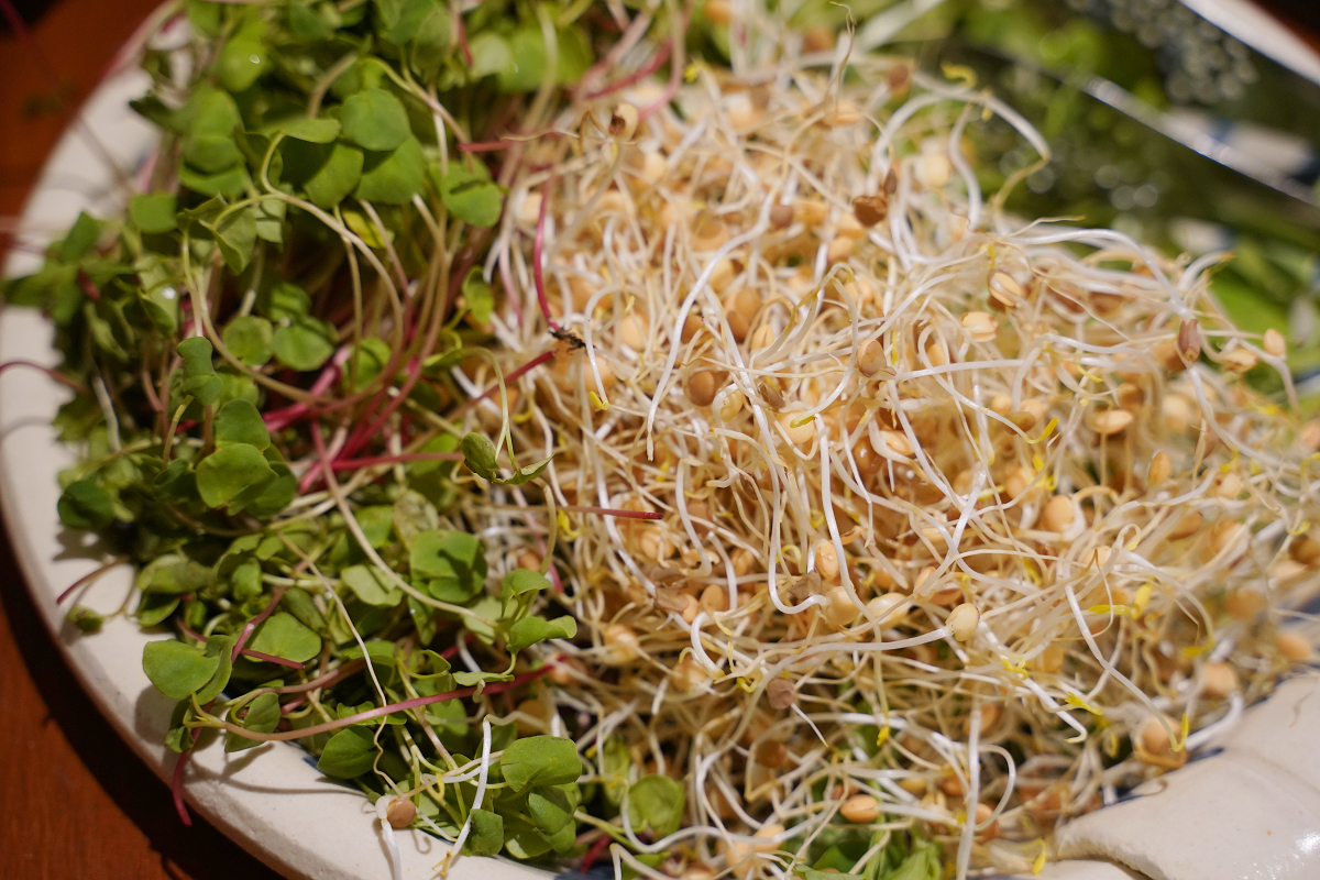 【食寓蕃薯藤自然派早午餐二訪】中壢早午餐吃到飽每人280元起 1930年代日式宿舍食農故事館