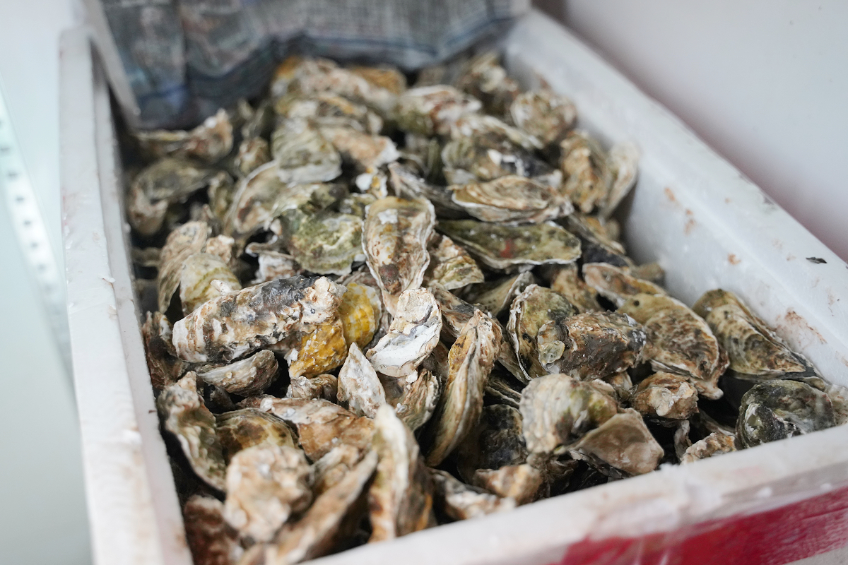 【蚵老爺-烤鮮蚵羊肉爐】內壢吃到飽推薦 每人299元鮮蚵蛤蜊吃到飽 老饕羊肉爐/熱炒美味必點