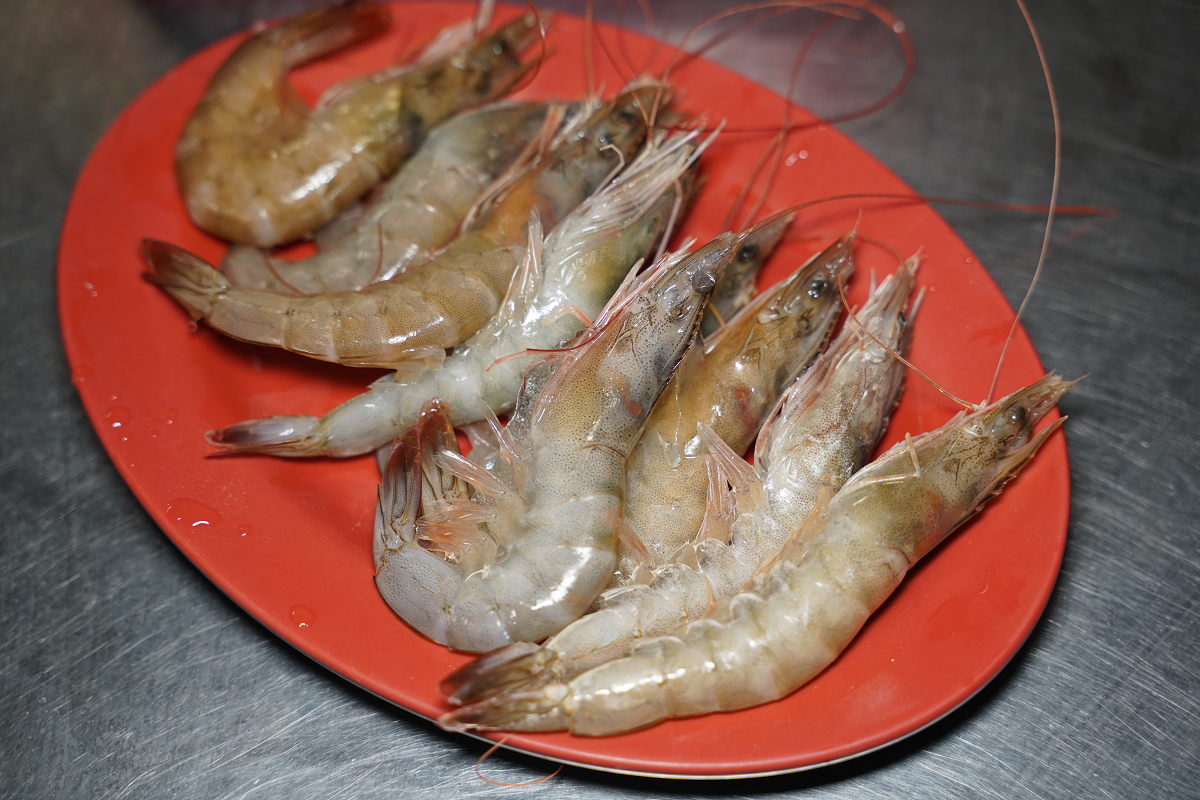 【蚵老爺-烤鮮蚵羊肉爐】內壢吃到飽推薦 每人299元鮮蚵蛤蜊吃到飽 老饕羊肉爐/熱炒美味必點